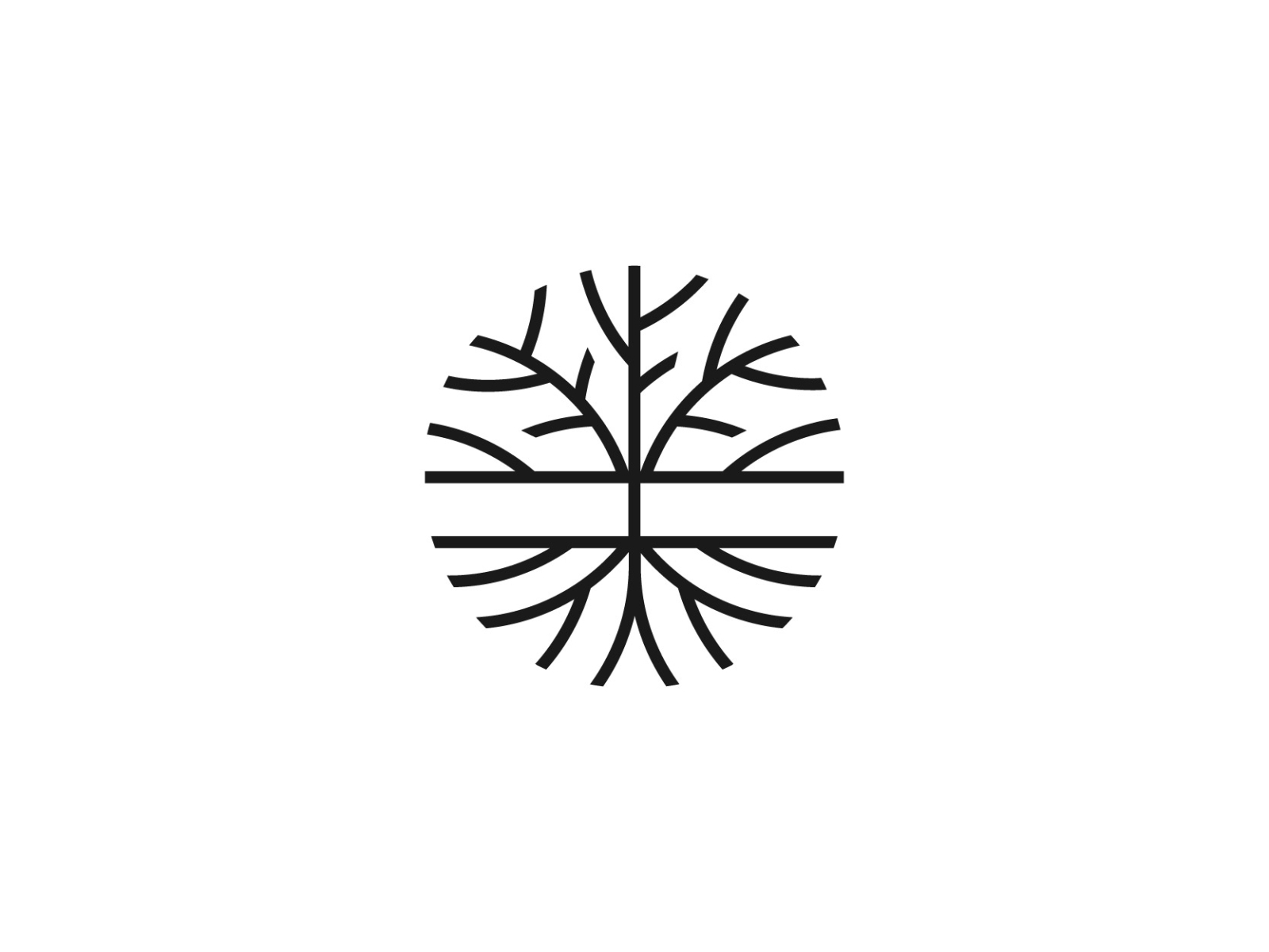 tree-roots-by-dimitrije-mikovic-on-dribbble