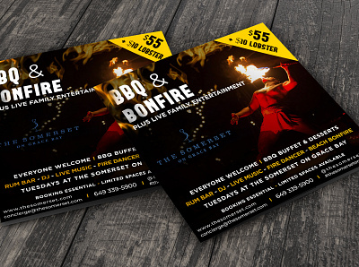 BBQ & BONFIRE Party Flyer Design bbq party bonfire party brochure design business flyer design flyer designs graphic design poster