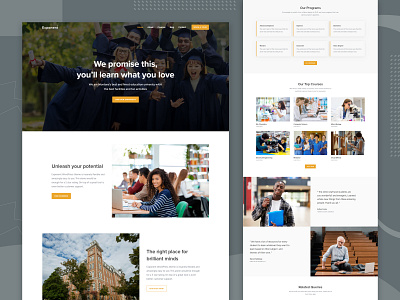 Education agency website