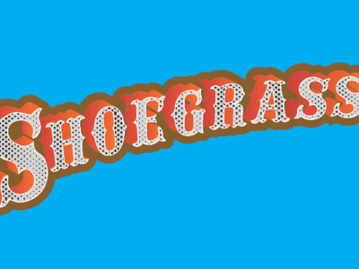 Shoegrass Bluegrass