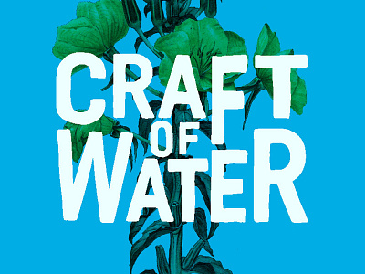 craft of water identity logo non profit re brand