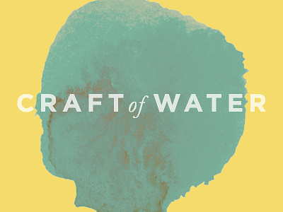 craft of water more identity logo non profit re brand