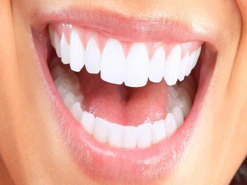 Feasterville Dentist by Oleg Genis on Dribbble