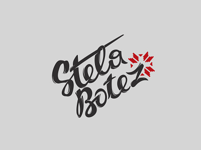 Logo for singer Stela Botez logo music ornament singer