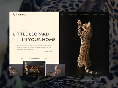Bengal cattery website Version1