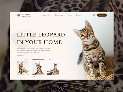 Bengal cattery website Version2 branding design ui vector web website