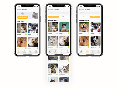 pets app app design pet pets ui