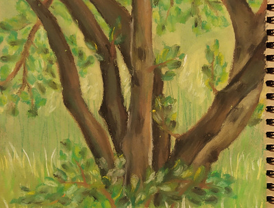 Apple tree illustration pastels