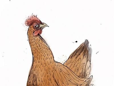 Hen 2 artwork design drawing editorial hand drawn illustration sketch