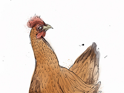 Hen 2