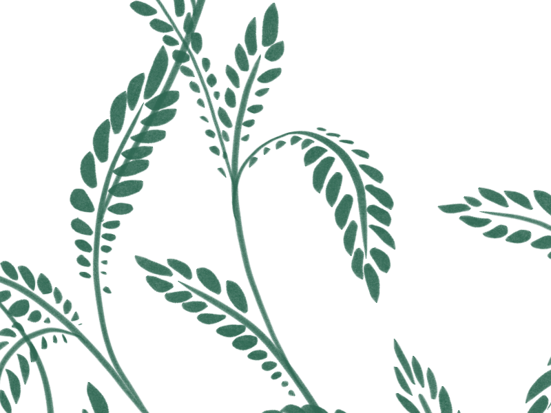 Green Leaves Illustration by Chloe Kirton on Dribbble