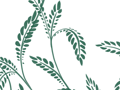 Green Leaves Illustration