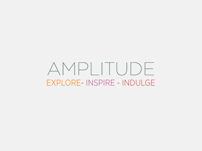 Amplitude - what am I? amplitude idea text type