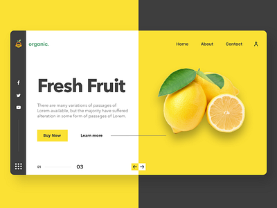 Organic Food Website concept.