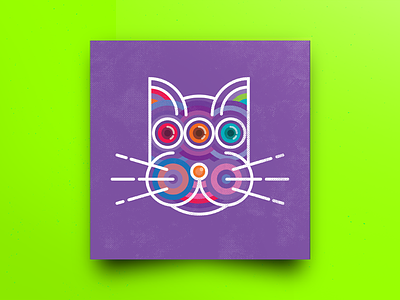 Gato cat color colorful gato