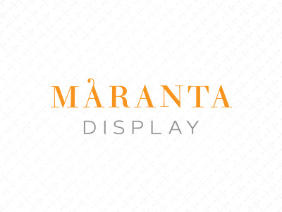 Maranta Display Proposal A boutique branding logo online store