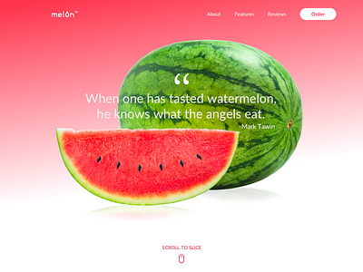 #003 Landing Page 003 dailyui landing page logomark sketch ui design watermelon