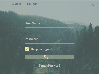 Sign In login sign in sign up ui ux