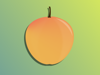 Mirabelle Plum affinity designer fruit illustration mirabelle plum