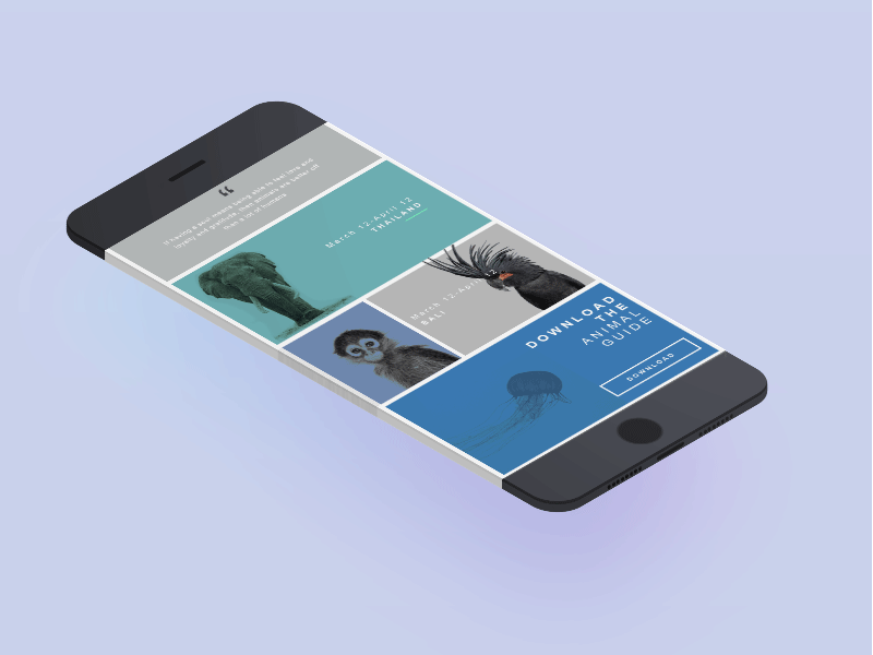 Full screen mobile experience animals cards cool colors mobile ui ux