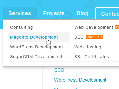 Mega Menu in WordPress menu wordpress