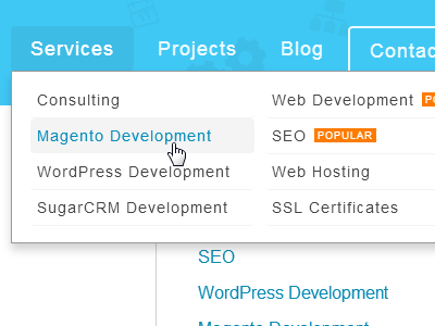 Mega Menu in WordPress