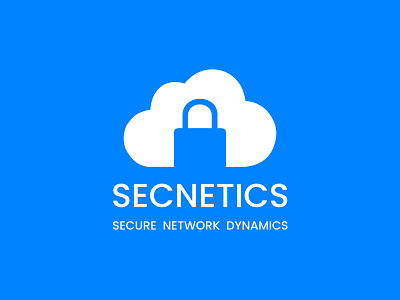 Secnetics Logo Design