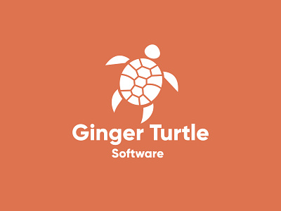 Ginger Turtle Software Logo 3d animation branding design graphic design illustrator logo motion graphics ui vector