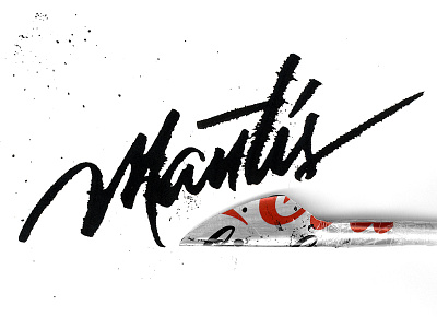 Mantis brushtype coca cola colapen custom typography graphic design lettering ruling pen typography