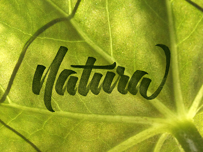 Natura brushtype custom typography graphic design green illustrator lettering nature photography photoshop typography vector