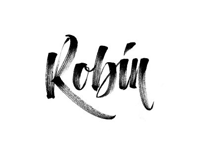 Robin brush markers brushtype custom typography graphic design lettering typography