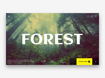 The Forest forest home page landing page ui deisgn uiux user experience user interface ux design web design