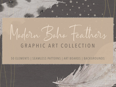 Modern Boho Feathers Graphic Art Collection art boho branding collection design element elements feather feathers graphic illustration minimal modern modern design vector