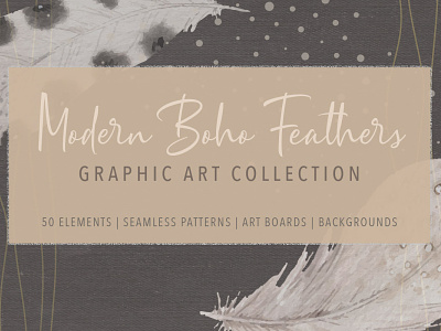 Modern Boho Feathers Graphic Art Collection