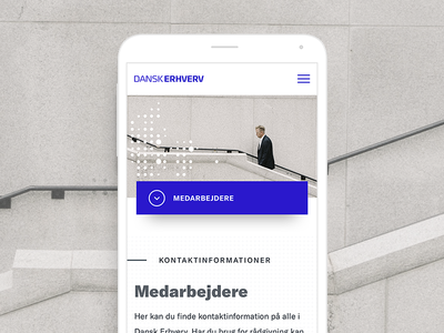 Dansk Erhverv branding identity webdesign