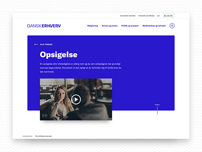 Dansk Erhverv branding identity webdesign