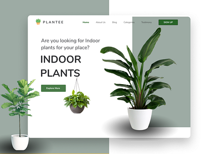 Plant selling website plant plant illustration planting