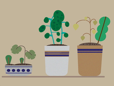 Lil plants 2021 2k21 adobe adobe illustrator art design illustration lil minimal plant pot vector