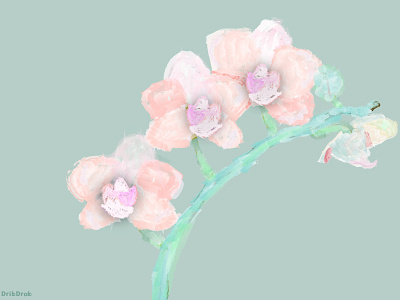 Orchid. adobe illustrator behance discord dribbble dribble green illustration illustrator 2022 orchid pink simple water color water colour