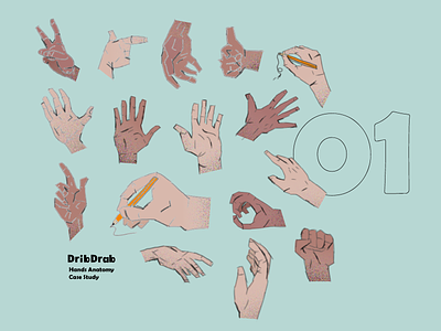 Hands | Anatomy Practice 01
