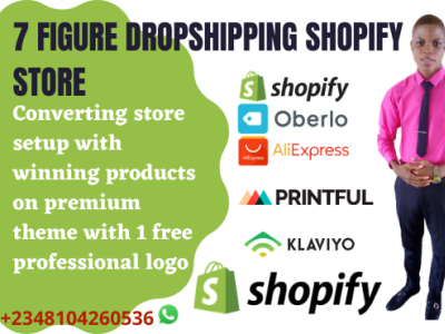 I will build your professional dropshipping shopify store