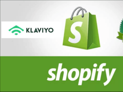 I will build your professional dropshipping shopify store