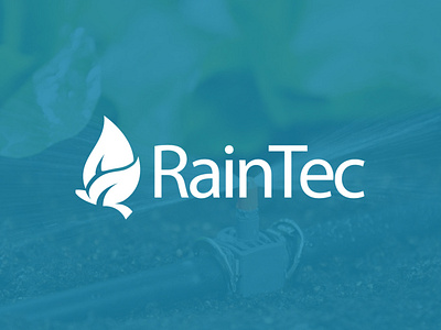 Logo "RainTec" artevide brand brand identity branding design graphic design logo logo design logotype vector логотип