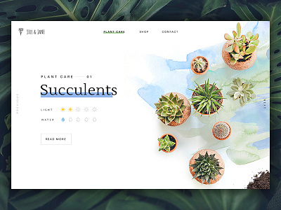 Plant Guide clean header minimal plant serif simple typography ui ux web design website