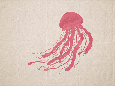 Jellyfish adobe illustrator adobe photoshop design illustration old paper