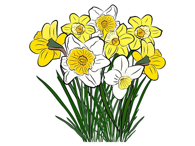Flowers daffodils vector background bloom bouquet daffodils floral flower flowers frame illustration isolated leaf narcissus nature petal spring summer vector white wreath yellow