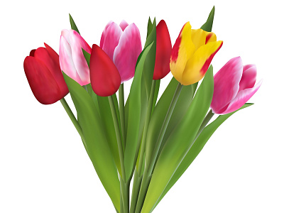 Beautiful spring flowers tulips vector graphics art cartoon graphic design illustration nature summer vector