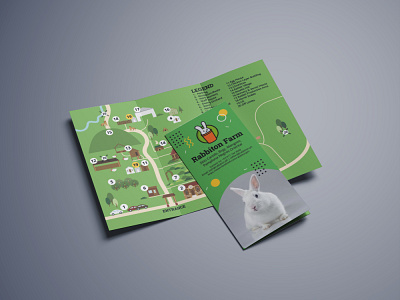 Rabbiton Tri-Fold Brochure Design