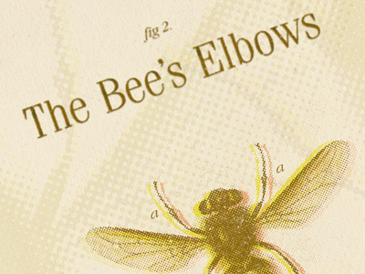Mixed Metaphors - Bees metaphors texture vintage