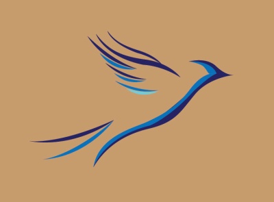 Bird Logo animal logo bird logo creative logo design illustration logo logo design modern logo